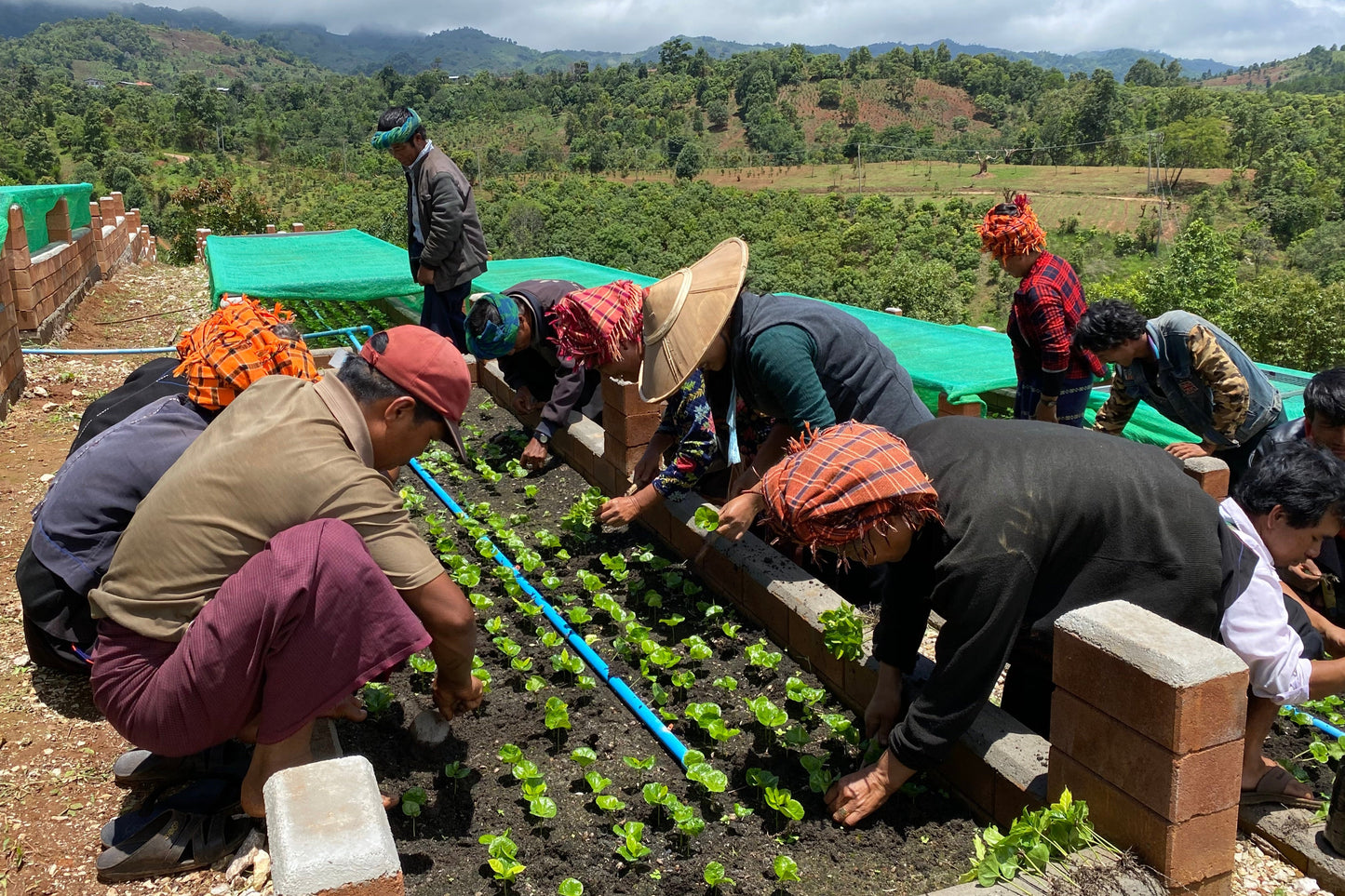 ORIGIN SERIES: MYANMAR