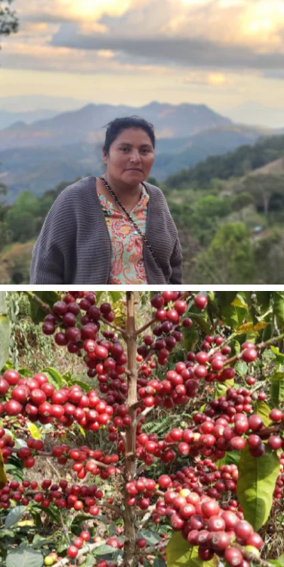 Atomic Coffee Roasters