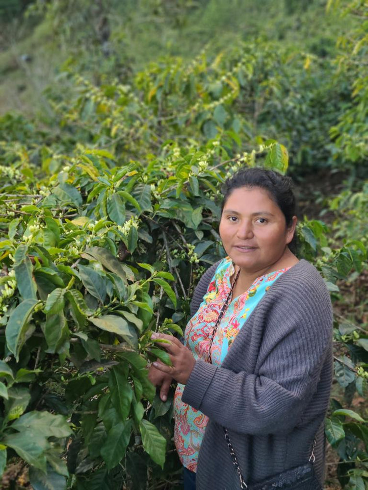 THE GENDER GAP IN COFFEE PRODUCTION, AND THOSE WHO FIGHT IT