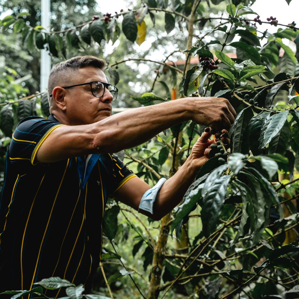 READ THE LABEL: VARIETY