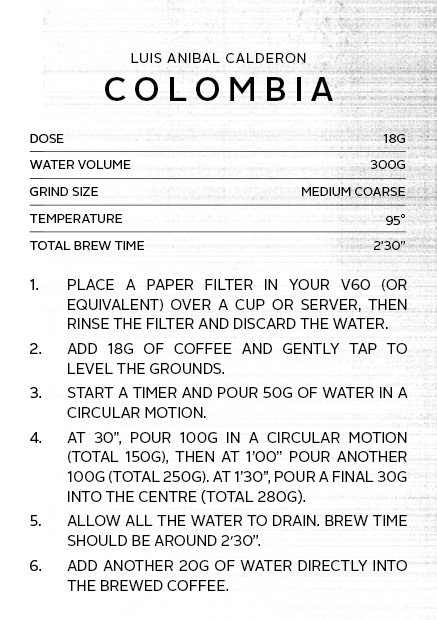 
                      
                        Colombia Luis Anibal Calderon | Filter Roast
                      
                    