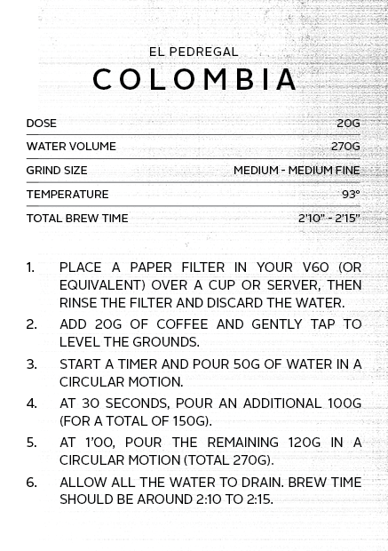 
                      
                        Colombia El Pedregal | Filter Roast
                      
                    
