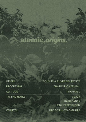 
                      
                        Colombia El Vergel | Filter Roast
                      
                    