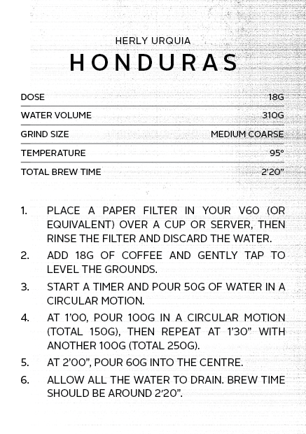
                      
                        Honduras Herly Urquia | Filter Roast
                      
                    
