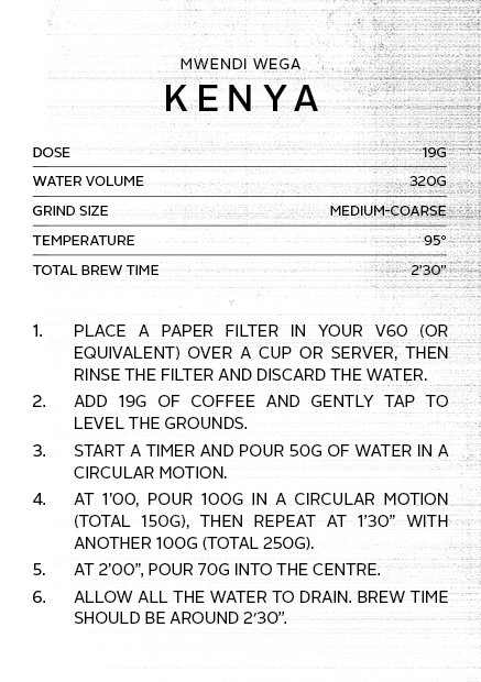 
                      
                        Kenya Mwendi Wega | Filter Roast
                      
                    